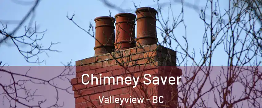  Chimney Saver Valleyview - BC