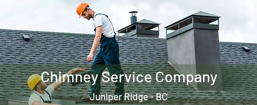  Chimney Service Company Juniper Ridge - BC