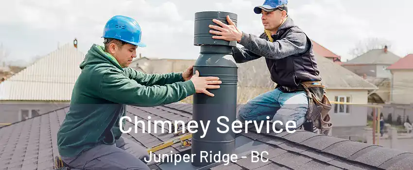 Chimney Service Juniper Ridge - BC