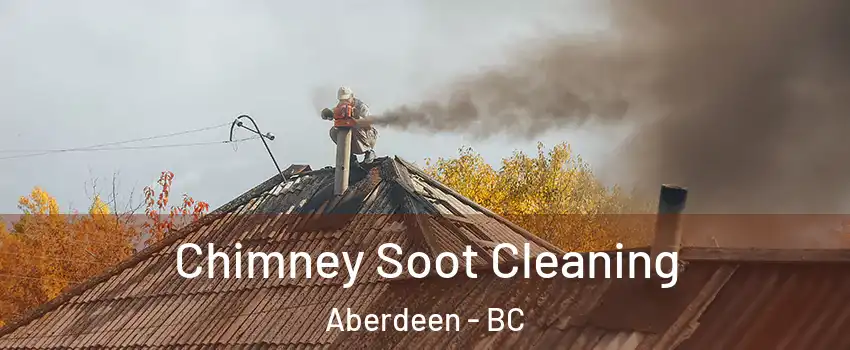  Chimney Soot Cleaning Aberdeen - BC