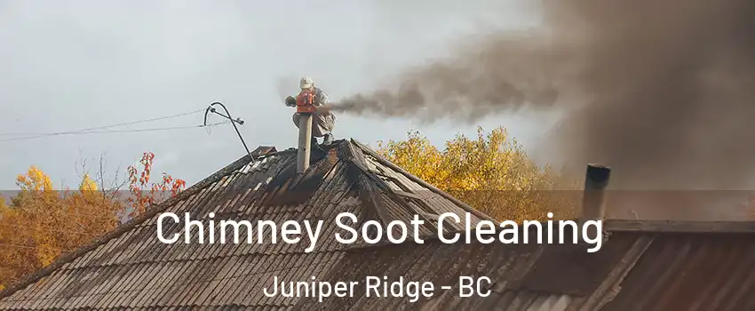 Chimney Soot Cleaning Juniper Ridge - BC