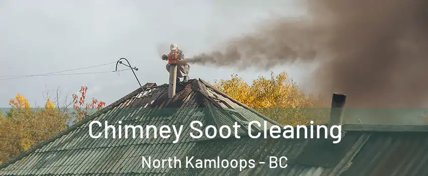  Chimney Soot Cleaning North Kamloops - BC