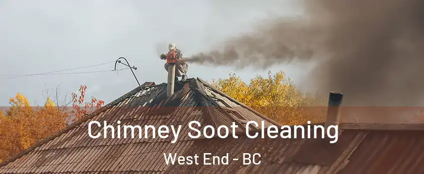  Chimney Soot Cleaning West End - BC