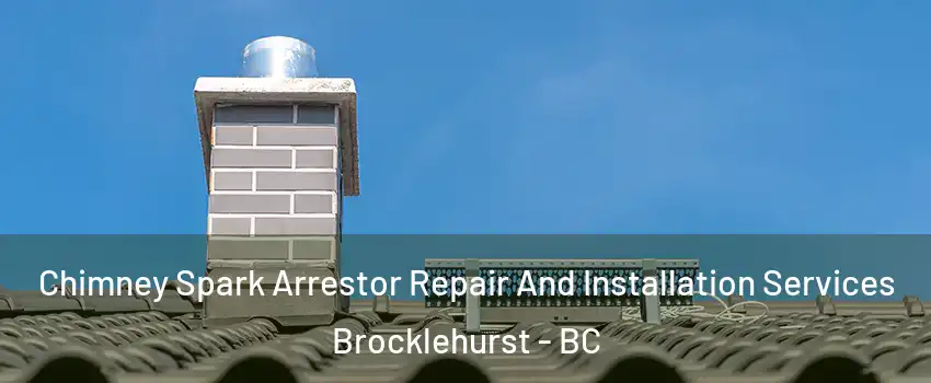  Chimney Spark Arrestor Repair And Installation Services Brocklehurst - BC