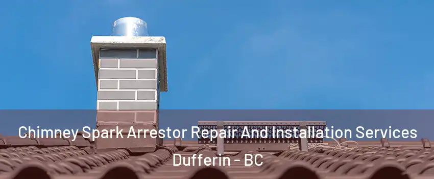  Chimney Spark Arrestor Repair And Installation Services Dufferin - BC