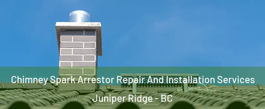  Chimney Spark Arrestor Repair And Installation Services Juniper Ridge - BC