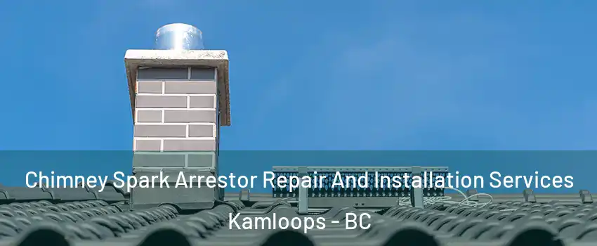  Chimney Spark Arrestor Repair And Installation Services Kamloops - BC