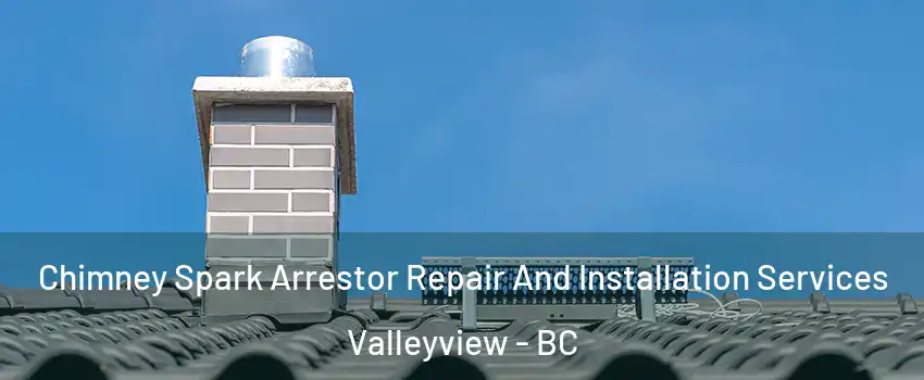  Chimney Spark Arrestor Repair And Installation Services Valleyview - BC