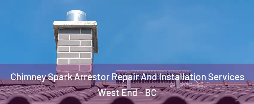  Chimney Spark Arrestor Repair And Installation Services West End - BC