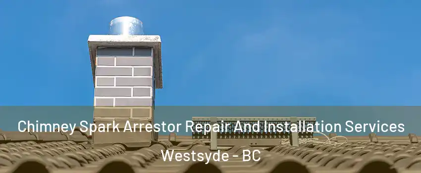  Chimney Spark Arrestor Repair And Installation Services Westsyde - BC
