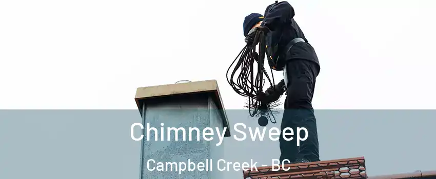  Chimney Sweep Campbell Creek - BC