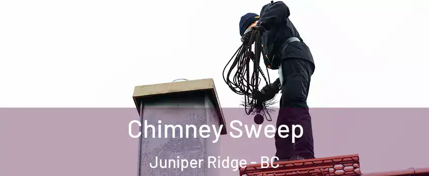  Chimney Sweep Juniper Ridge - BC