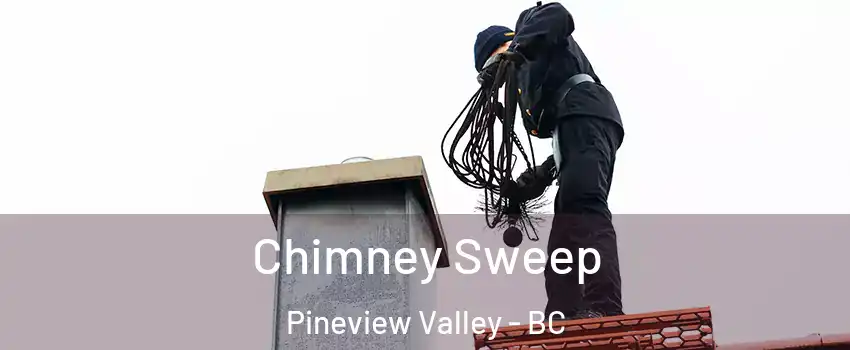  Chimney Sweep Pineview Valley - BC