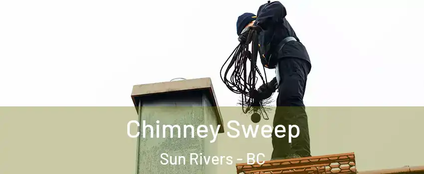  Chimney Sweep Sun Rivers - BC
