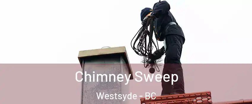  Chimney Sweep Westsyde - BC
