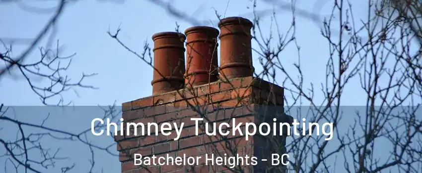  Chimney Tuckpointing Batchelor Heights - BC