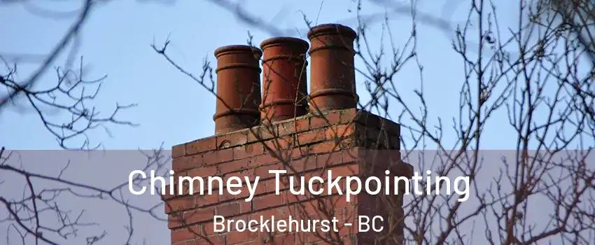  Chimney Tuckpointing Brocklehurst - BC