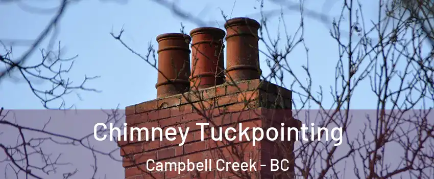  Chimney Tuckpointing Campbell Creek - BC