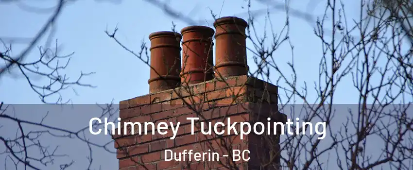  Chimney Tuckpointing Dufferin - BC