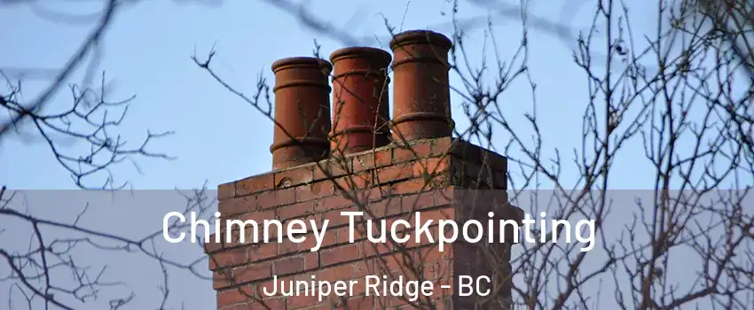  Chimney Tuckpointing Juniper Ridge - BC