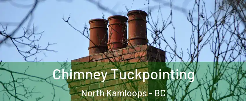  Chimney Tuckpointing North Kamloops - BC