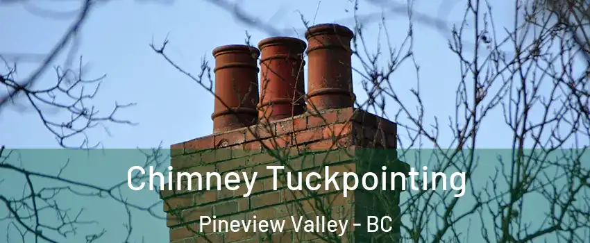  Chimney Tuckpointing Pineview Valley - BC