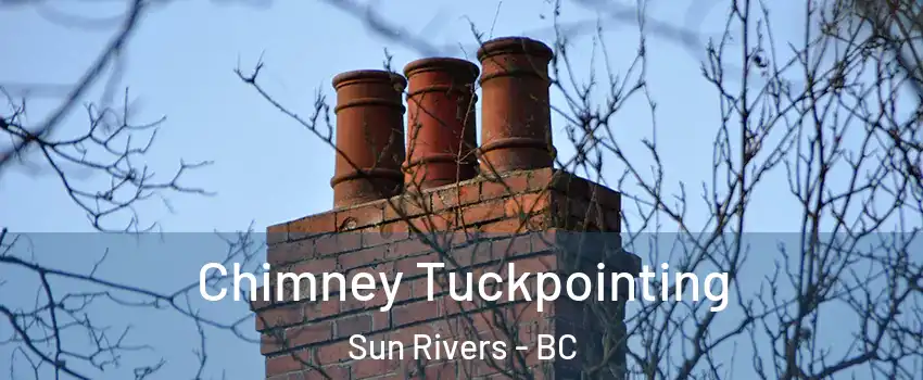  Chimney Tuckpointing Sun Rivers - BC