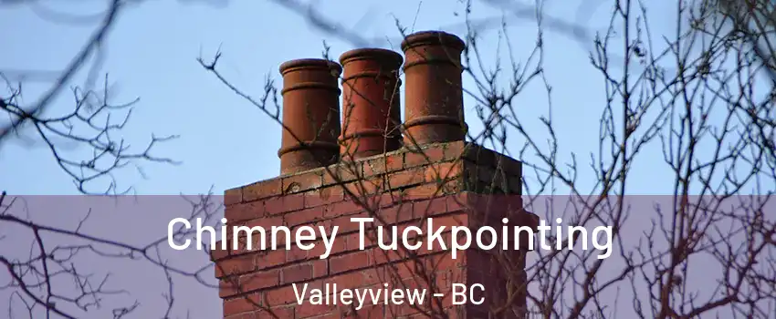  Chimney Tuckpointing Valleyview - BC
