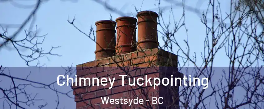  Chimney Tuckpointing Westsyde - BC