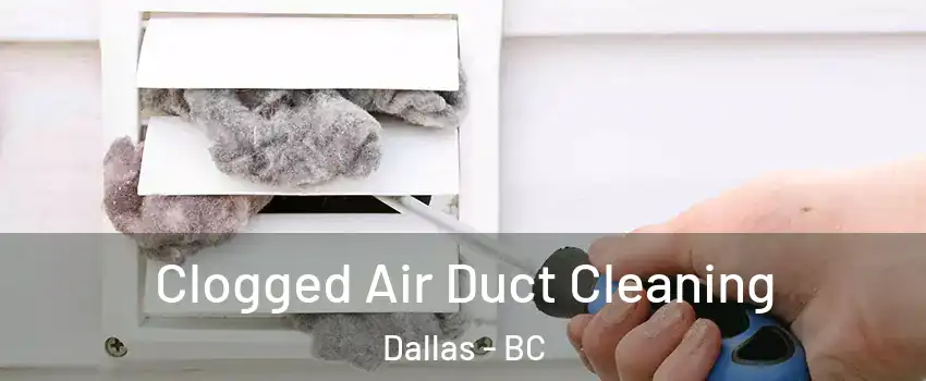  Clogged Air Duct Cleaning Dallas - BC