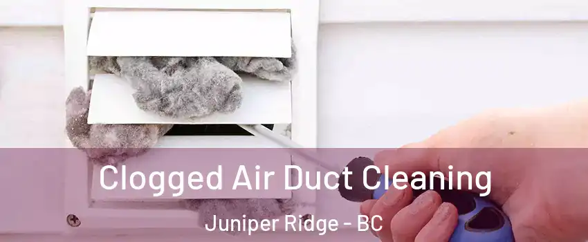  Clogged Air Duct Cleaning Juniper Ridge - BC
