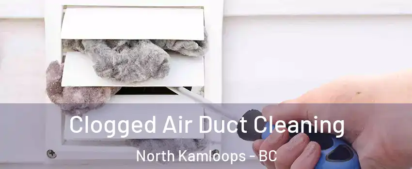 Clogged Air Duct Cleaning North Kamloops - BC
