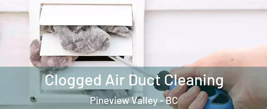  Clogged Air Duct Cleaning Pineview Valley - BC