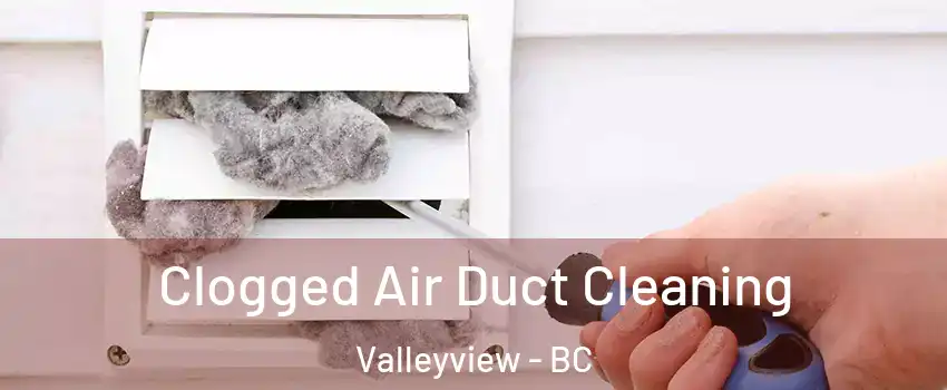  Clogged Air Duct Cleaning Valleyview - BC