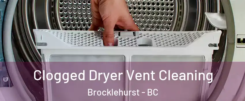  Clogged Dryer Vent Cleaning Brocklehurst - BC