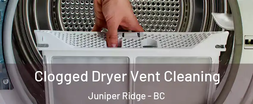  Clogged Dryer Vent Cleaning Juniper Ridge - BC
