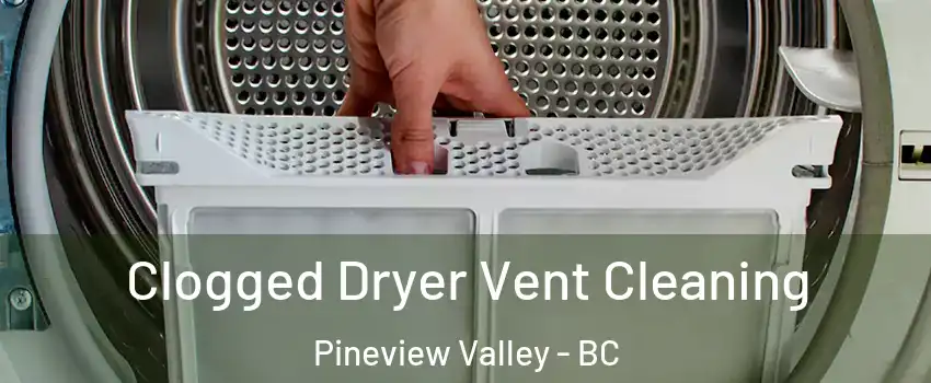  Clogged Dryer Vent Cleaning Pineview Valley - BC