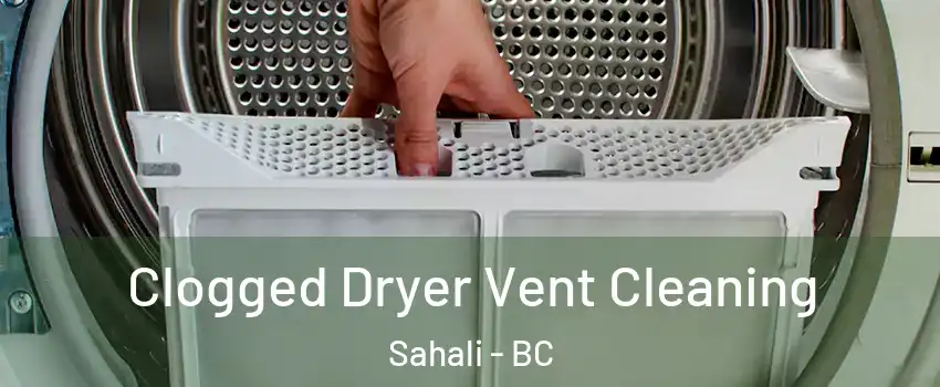 Clogged Dryer Vent Cleaning Sahali - BC