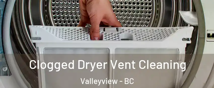  Clogged Dryer Vent Cleaning Valleyview - BC