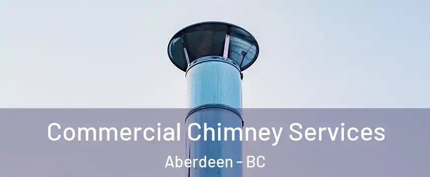  Commercial Chimney Services Aberdeen - BC