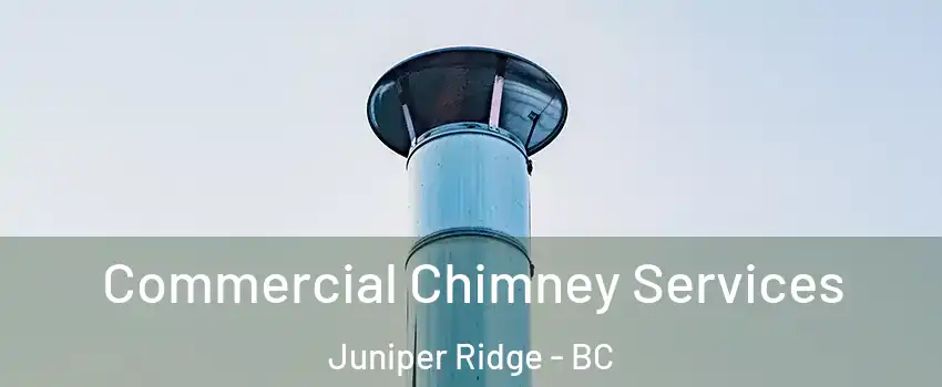  Commercial Chimney Services Juniper Ridge - BC