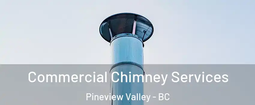  Commercial Chimney Services Pineview Valley - BC