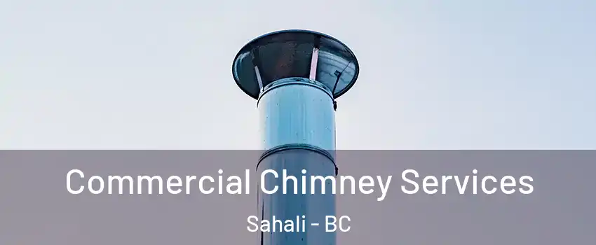  Commercial Chimney Services Sahali - BC
