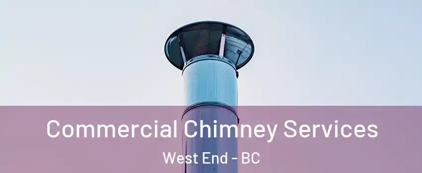  Commercial Chimney Services West End - BC