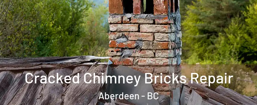  Cracked Chimney Bricks Repair Aberdeen - BC