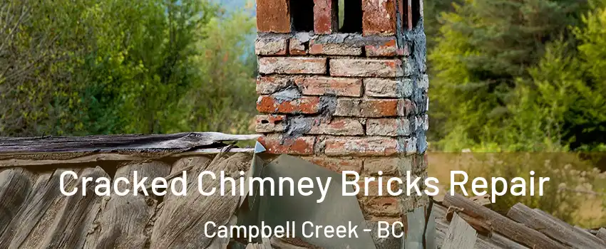  Cracked Chimney Bricks Repair Campbell Creek - BC