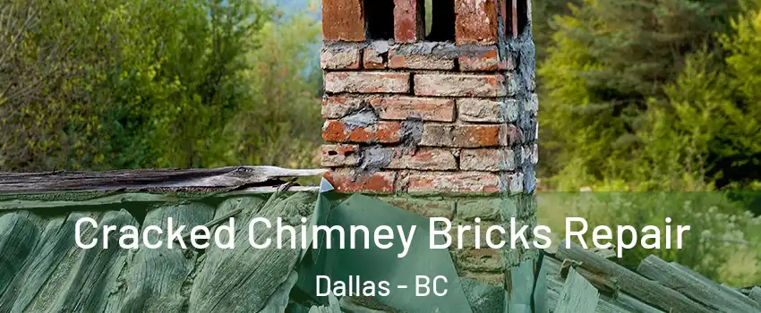  Cracked Chimney Bricks Repair Dallas - BC
