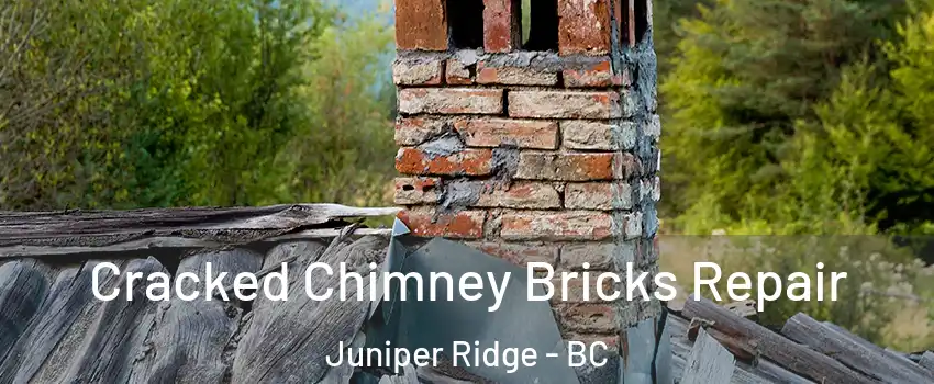  Cracked Chimney Bricks Repair Juniper Ridge - BC