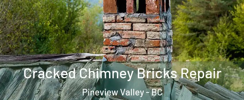  Cracked Chimney Bricks Repair Pineview Valley - BC