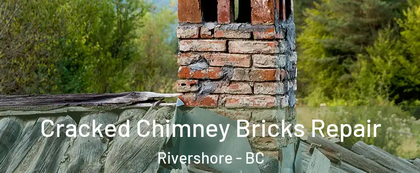  Cracked Chimney Bricks Repair Rivershore - BC